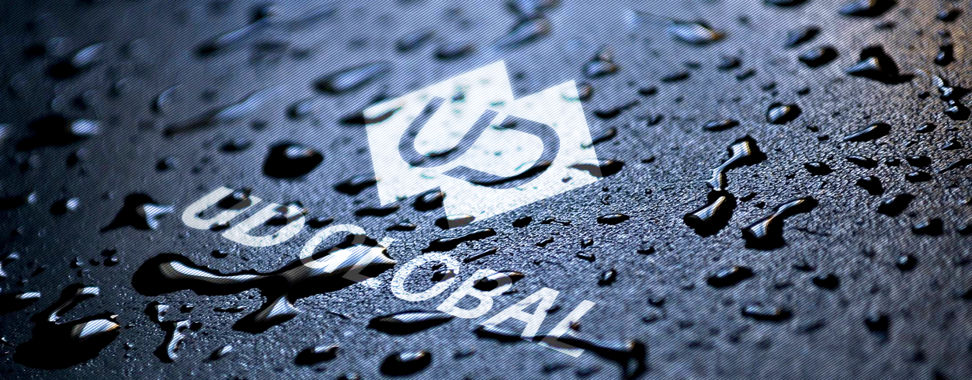 UD Global Logistics